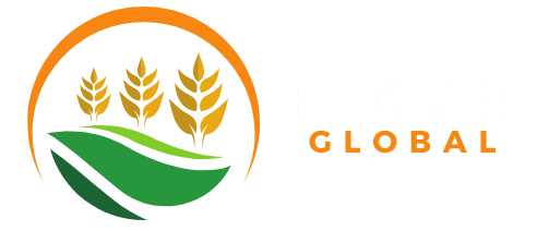 Fidus Global