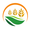 Fidus Global logo