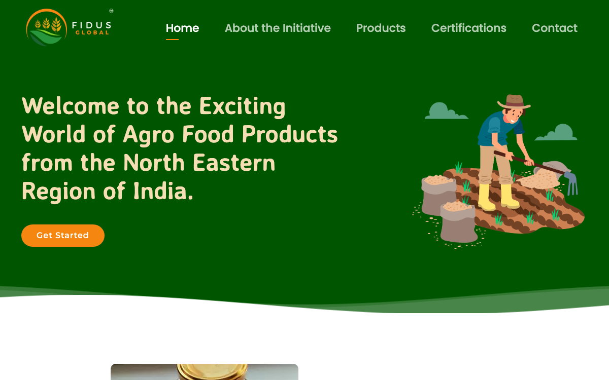 The Fidus Global website, live